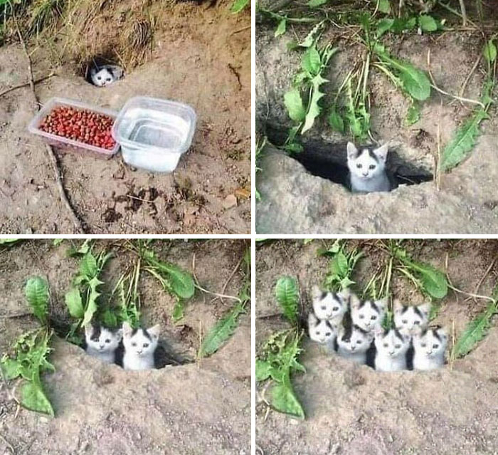 The “Photoshop Fails” Online Group Shares 50 Of The Worst And Funniest Attempts At Photoshop The “Photoshop Fails” Online Group Shares 50 Of The Worst And Funniest Attempts At Photoshop