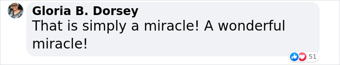 “Oh My God, That’s Him!”: Family In Shock As Cat Lost During Move Shows Up At Their New House 2 Months Later “Oh My God, That’s Him!”: Family In Shock As Cat Lost During Move Shows Up At Their New House 2 Months Later