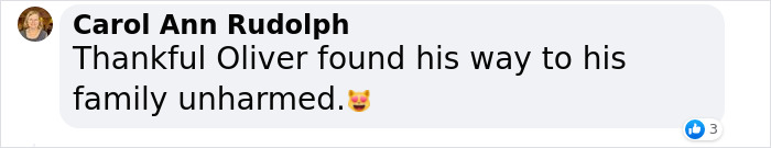 “Oh My God, That’s Him!”: Family In Shock As Cat Lost During Move Shows Up At Their New House 2 Months Later “Oh My God, That’s Him!”: Family In Shock As Cat Lost During Move Shows Up At Their New House 2 Months Later