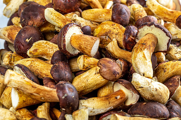 35 Weird Foods That We Now Know Are Edible, But It’s Surprising How Our Ancestors Found That Out, As Pointed Out By Folks Online 35 Weird Foods That We Now Know Are Edible, But It’s Surprising How Our Ancestors Found That Out, As Pointed Out By Folks Online