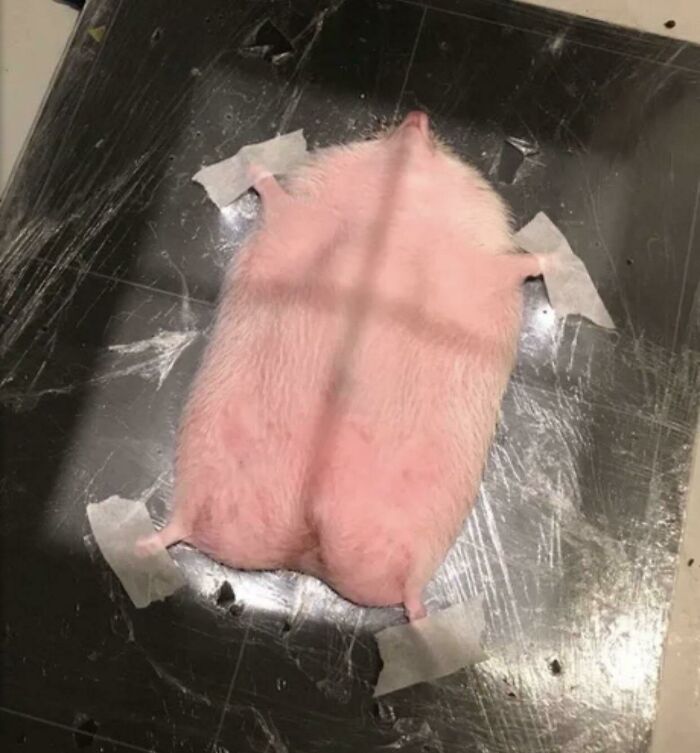 50 Photos That Provide “Alternate Angles” On Events, Places, And Things You Might Not Have Seen Before (New Pics)