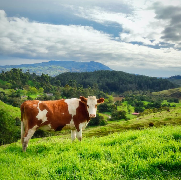 50 Times People Heard Someone Say Something So Blatantly Stupid, They Just Had To Share It Online 50 Times People Heard Someone Say Something So Blatantly Stupid, They Just Had To Share It Online