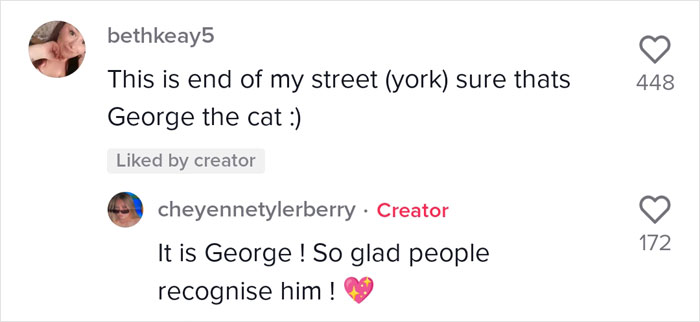 Video Of A Man Introducing His Dog To Neighborhood Cat Goes Viral With 7.7M Views