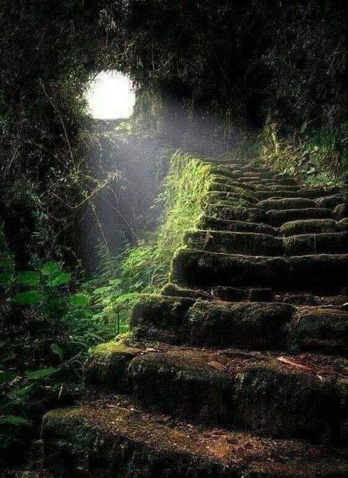 “Abandoned World”: 50 Eerie Pictures Of Forgotten Places, As Shared By This Online Page “Abandoned World”: 50 Eerie Pictures Of Forgotten Places, As Shared By This Online Page