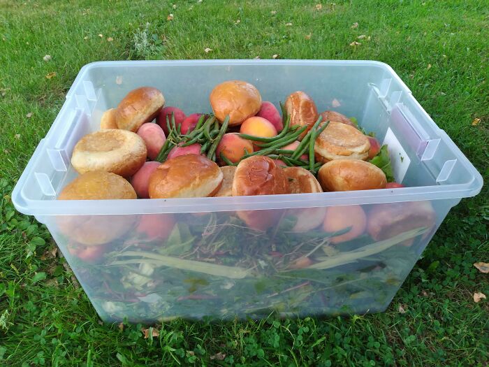 People In This Community Are All About That ‘Zero Waste’ Lifestyle, Share Their 50 Helpful Tips And Tricks (New Pics) People In This Community Are All About That ‘Zero Waste’ Lifestyle, Share Their 50 Helpful Tips And Tricks (New Pics)