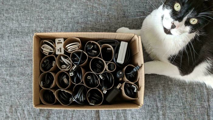 People In This Community Are All About That ‘Zero Waste’ Lifestyle, Share Their 50 Helpful Tips And Tricks (New Pics) People In This Community Are All About That ‘Zero Waste’ Lifestyle, Share Their 50 Helpful Tips And Tricks (New Pics)