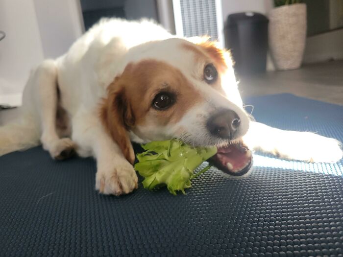 People In This Community Are All About That ‘Zero Waste’ Lifestyle, Share Their 50 Helpful Tips And Tricks (New Pics) People In This Community Are All About That ‘Zero Waste’ Lifestyle, Share Their 50 Helpful Tips And Tricks (New Pics)