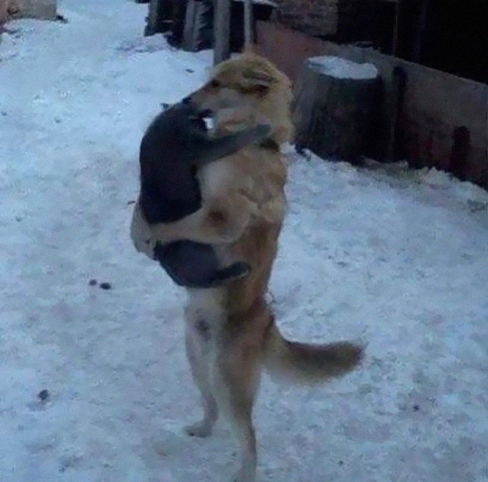 50 Confusing And Funny Photos Without Any Context, As Shared By This Instagram Page 50 Confusing And Funny Photos Without Any Context, As Shared By This Instagram Page