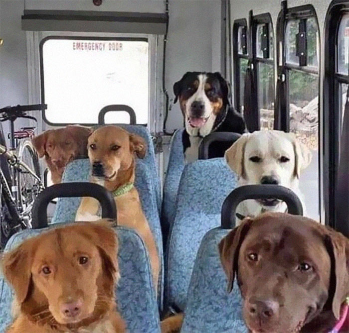 50 Confusing And Funny Photos Without Any Context, As Shared By This Instagram Page 50 Confusing And Funny Photos Without Any Context, As Shared By This Instagram Page