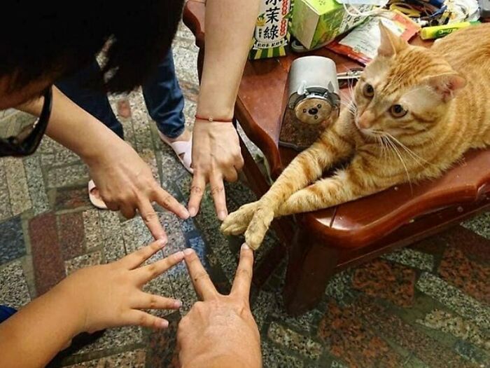 50 Confusing And Funny Photos Without Any Context, As Shared By This Instagram Page 50 Confusing And Funny Photos Without Any Context, As Shared By This Instagram Page