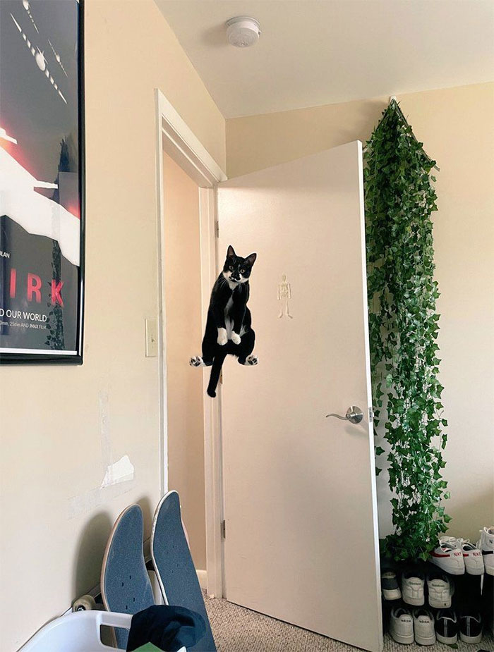 50 Confusing And Funny Photos Without Any Context, As Shared By This Instagram Page 50 Confusing And Funny Photos Without Any Context, As Shared By This Instagram Page