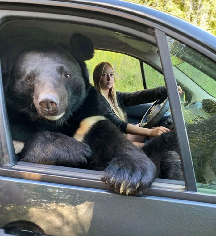 50 Confusing And Funny Photos Without Any Context, As Shared By This Instagram Page 50 Confusing And Funny Photos Without Any Context, As Shared By This Instagram Page