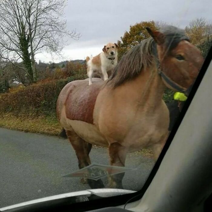 50 Confusing And Funny Photos Without Any Context, As Shared By This Instagram Page 50 Confusing And Funny Photos Without Any Context, As Shared By This Instagram Page