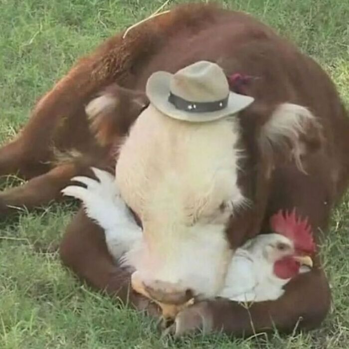 50 Confusing And Funny Photos Without Any Context, As Shared By This Instagram Page 50 Confusing And Funny Photos Without Any Context, As Shared By This Instagram Page