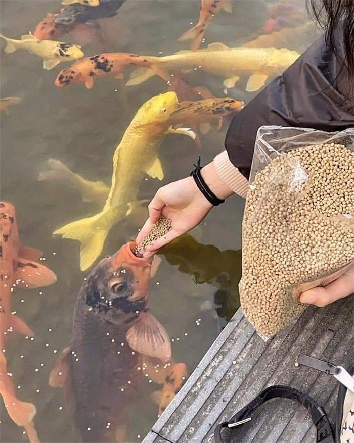 50 Confusing And Funny Photos Without Any Context, As Shared By This Instagram Page 50 Confusing And Funny Photos Without Any Context, As Shared By This Instagram Page