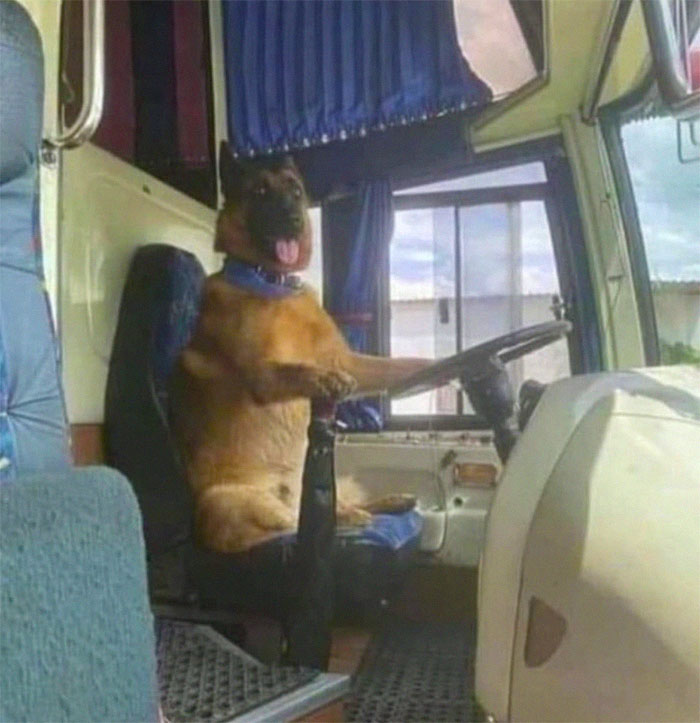 50 Confusing And Funny Photos Without Any Context, As Shared By This Instagram Page 50 Confusing And Funny Photos Without Any Context, As Shared By This Instagram Page