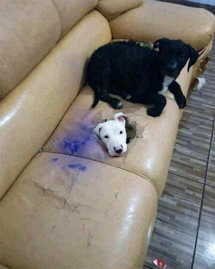 50 Confusing And Funny Photos Without Any Context, As Shared By This Instagram Page 50 Confusing And Funny Photos Without Any Context, As Shared By This Instagram Page