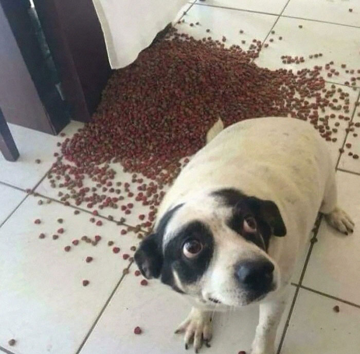 50 Confusing And Funny Photos Without Any Context, As Shared By This Instagram Page 50 Confusing And Funny Photos Without Any Context, As Shared By This Instagram Page