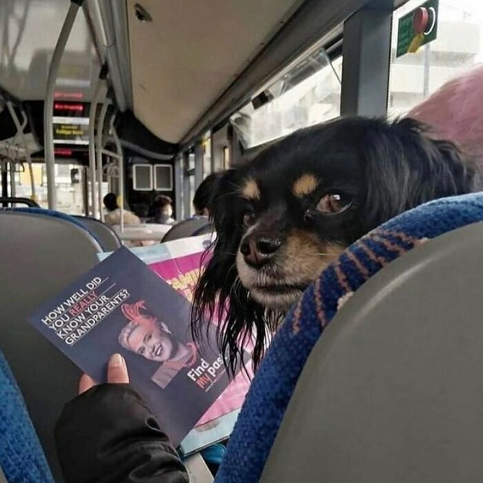 50 Confusing And Funny Photos Without Any Context, As Shared By This Instagram Page 50 Confusing And Funny Photos Without Any Context, As Shared By This Instagram Page