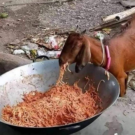 50 Confusing And Funny Photos Without Any Context, As Shared By This Instagram Page 50 Confusing And Funny Photos Without Any Context, As Shared By This Instagram Page