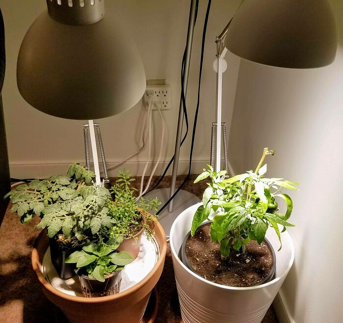 35 Strange Secret Rooms These People Found In Their Homes, Shared In This Online Thread 35 Strange Secret Rooms These People Found In Their Homes, Shared In This Online Thread