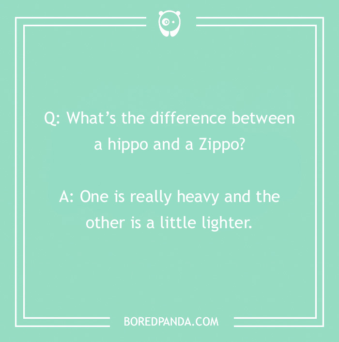 50 Of The Best “What’s The Difference Between” Jokes The Internet Has To Offer 50 Of The Best “What’s The Difference Between” Jokes The Internet Has To Offer