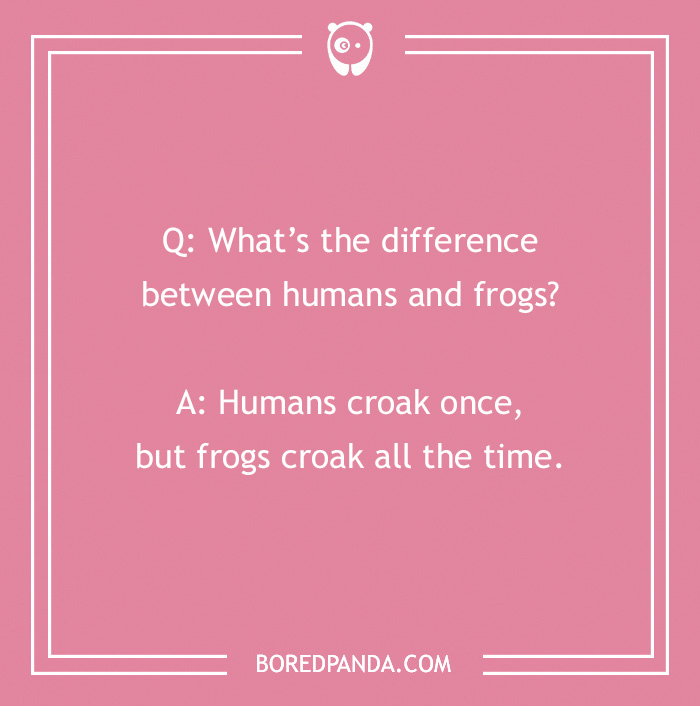 50 Of The Best “What’s The Difference Between” Jokes The Internet Has To Offer 50 Of The Best “What’s The Difference Between” Jokes The Internet Has To Offer