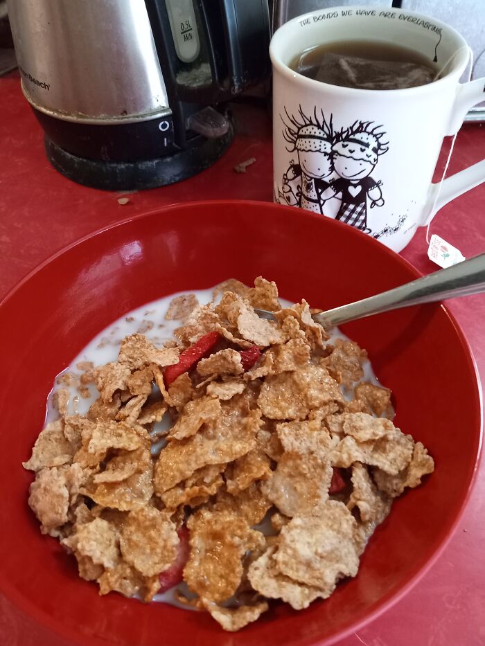 Hey Pandas From Across The World, Show Us What Your Breakfast Looks Like Hey Pandas From Across The World, Show Us What Your Breakfast Looks Like