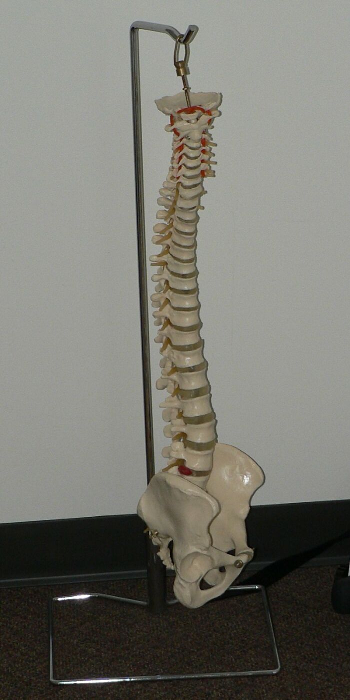 Only People With Rare Body Features Joined This Thread And Shared 35 Of Their Body Anomalies Only People With Rare Body Features Joined This Thread And Shared 35 Of Their Body Anomalies