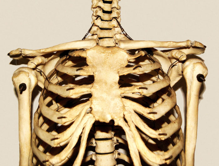 Only People With Rare Body Features Joined This Thread And Shared 35 Of Their Body Anomalies Only People With Rare Body Features Joined This Thread And Shared 35 Of Their Body Anomalies