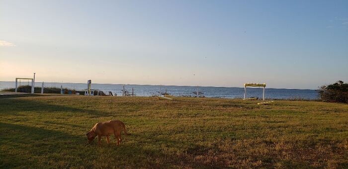 Hey Pandas, Post A Picture Of The Nicest Beach You’ve Been To (Closed) Hey Pandas, Post A Picture Of The Nicest Beach You’ve Been To (Closed)