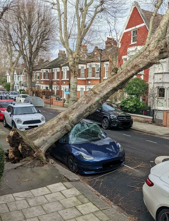 People Shared 50 Fails And Accidents So Expensive, It Hurts To Watch (New Pics) People Shared 50 Fails And Accidents So Expensive, It Hurts To Watch (New Pics)