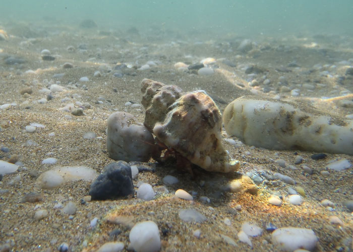 Divers Reveal 50 Disturbing Discoveries Underwater They Will Probably Never Be Able To Explain