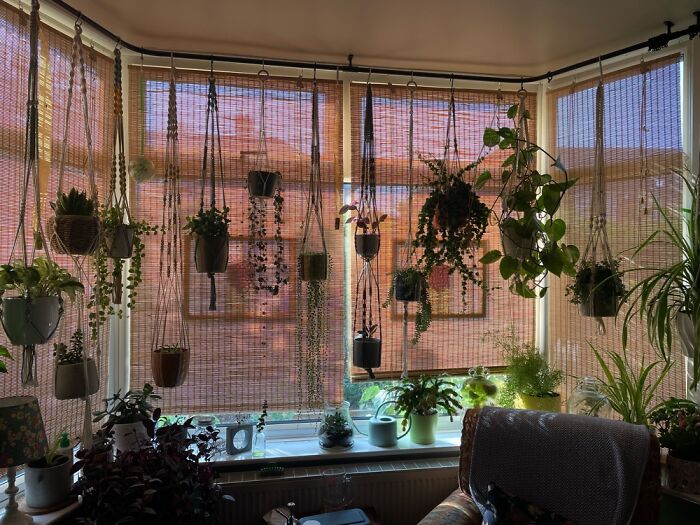 Hey Pandas, Where Is The Best Spot In Your House? Hey Pandas, Where Is The Best Spot In Your House?