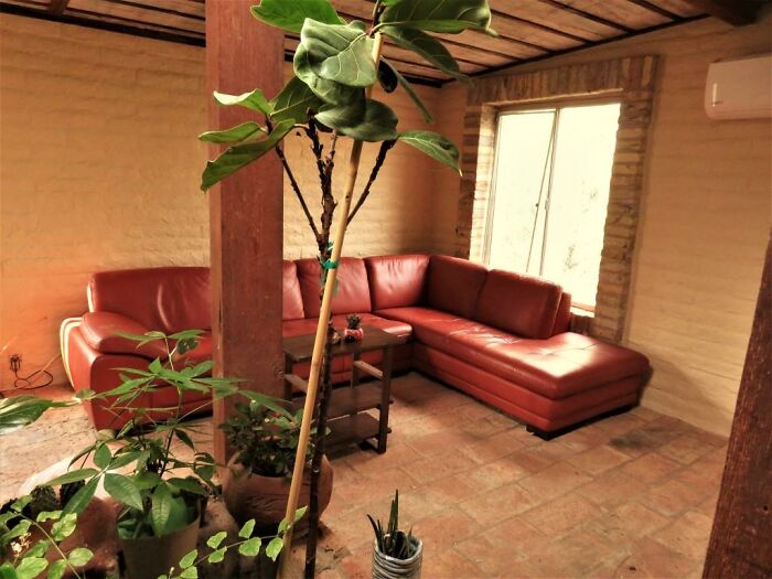 Hey Pandas, Where Is The Best Spot In Your House? Hey Pandas, Where Is The Best Spot In Your House?