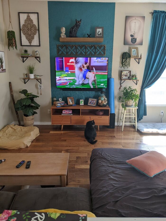 Hey Pandas, Where Is The Best Spot In Your House? Hey Pandas, Where Is The Best Spot In Your House?