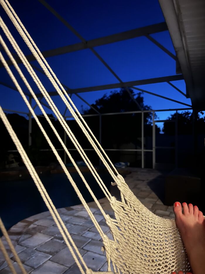 Hey Pandas, Where Is The Best Spot In Your House? Hey Pandas, Where Is The Best Spot In Your House?