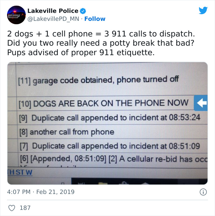 Two Dogs Managed To Call The Police 16 Times In 30 Minutes, And The Internet Is In Stitches Two Dogs Managed To Call The Police 16 Times In 30 Minutes, And The Internet Is In Stitches