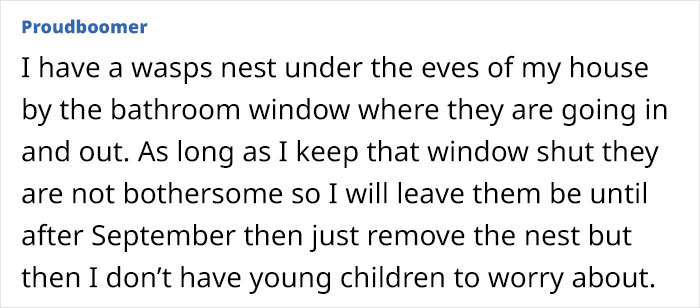 Neighbor Calls This Mom &#8220;Evil&#8221; For Asking Pest Control To Remove A Wasp Nest To Protect Her 5 Y.O. Kid, She Wonders If She&#8217;s A Jerk For Doing So