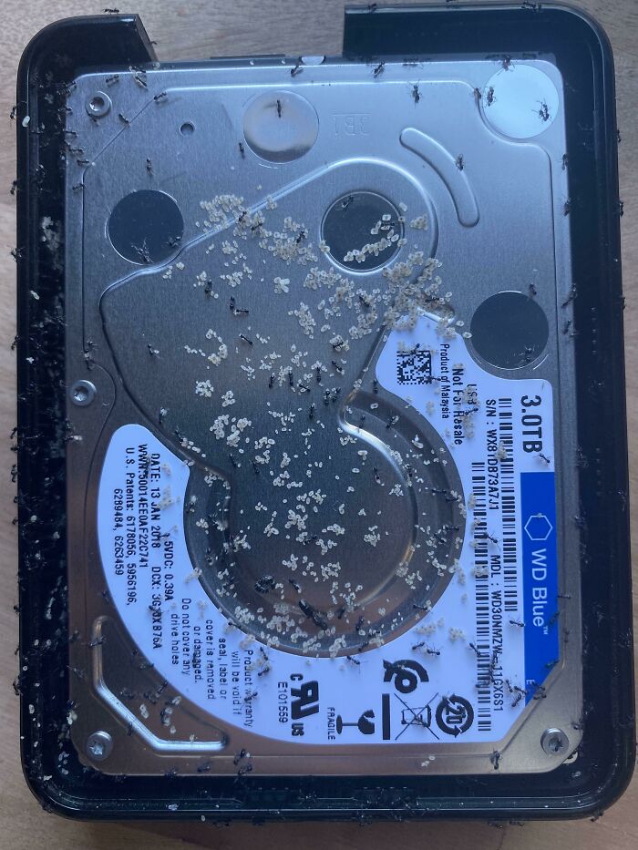 Tech Support People Are Sharing The Worst Horror Cases They&rsquo;ve Seen While On The Job (35 New Pics)