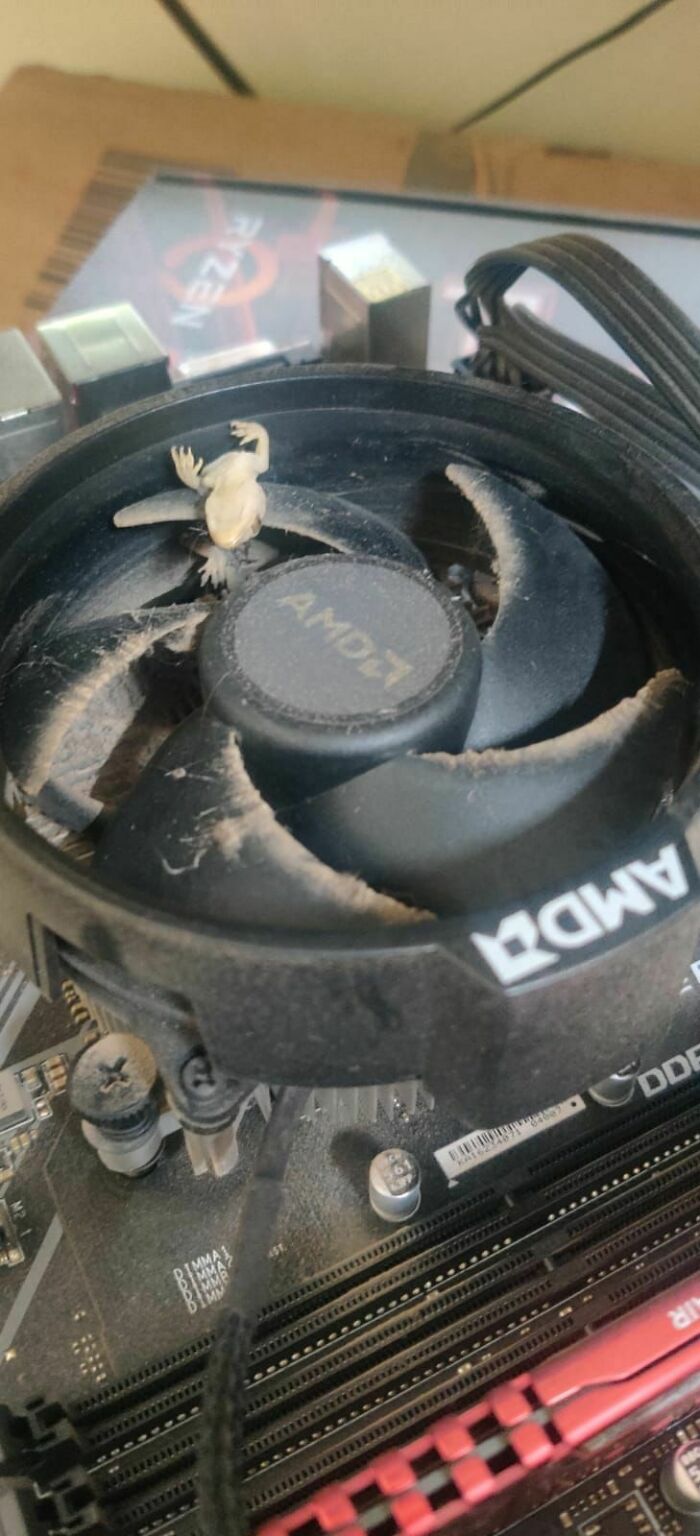 Tech Support People Are Sharing The Worst Horror Cases They&rsquo;ve Seen While On The Job (35 New Pics)