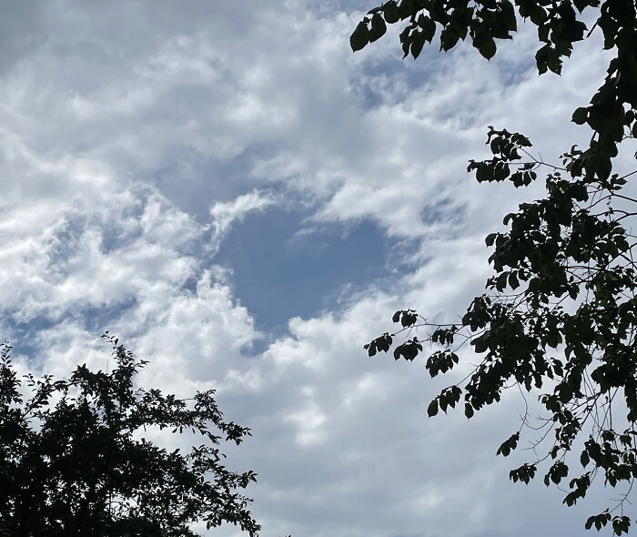 Hey Pandas, Post A Picture Of Clouds Looking Like Other Things (Closed) Hey Pandas, Post A Picture Of Clouds Looking Like Other Things (Closed)