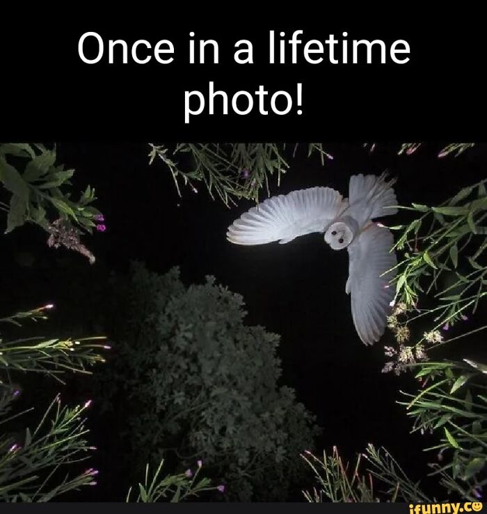 Hey Pandas, What Is This Thing? Help Other Pandas Identify Random Items In The Comments Hey Pandas, What Is This Thing? Help Other Pandas Identify Random Items In The Comments