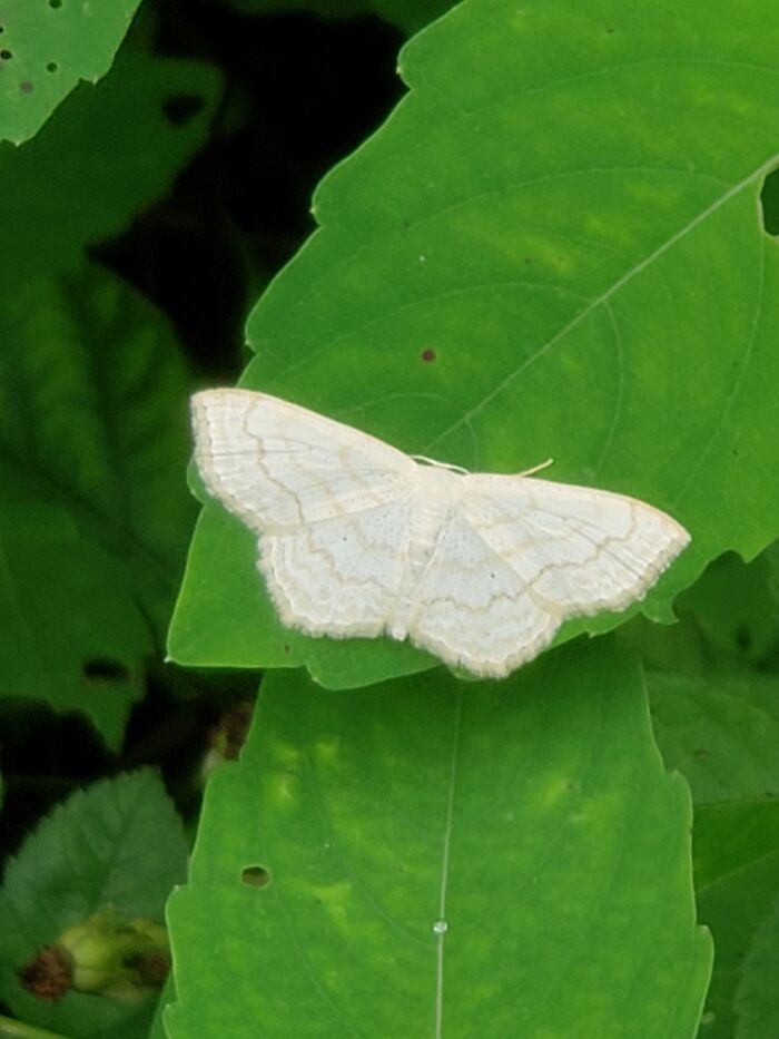 Hey Pandas, What Is This Thing? Help Other Pandas Identify Random Items In The Comments Hey Pandas, What Is This Thing? Help Other Pandas Identify Random Items In The Comments