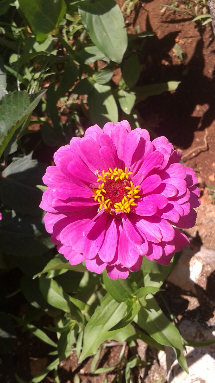 Hey Pandas, What Is This Thing? Help Other Pandas Identify Random Items In The Comments Hey Pandas, What Is This Thing? Help Other Pandas Identify Random Items In The Comments