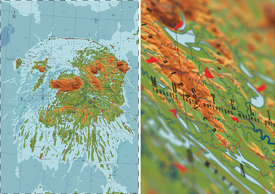 29 Maps That I Made In Honor Of Nature And Animals 29 Maps That I Made In Honor Of Nature And Animals