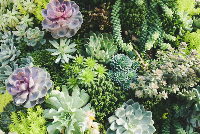 The Most Uncomfortable Moments When A Family Member Has Said Something Inappropriate or Inconsiderate: 50 Stories Shared By Our Community The Most Uncomfortable Moments When A Family Member Has Said Something Inappropriate or Inconsiderate: 50 Stories Shared By Our Community