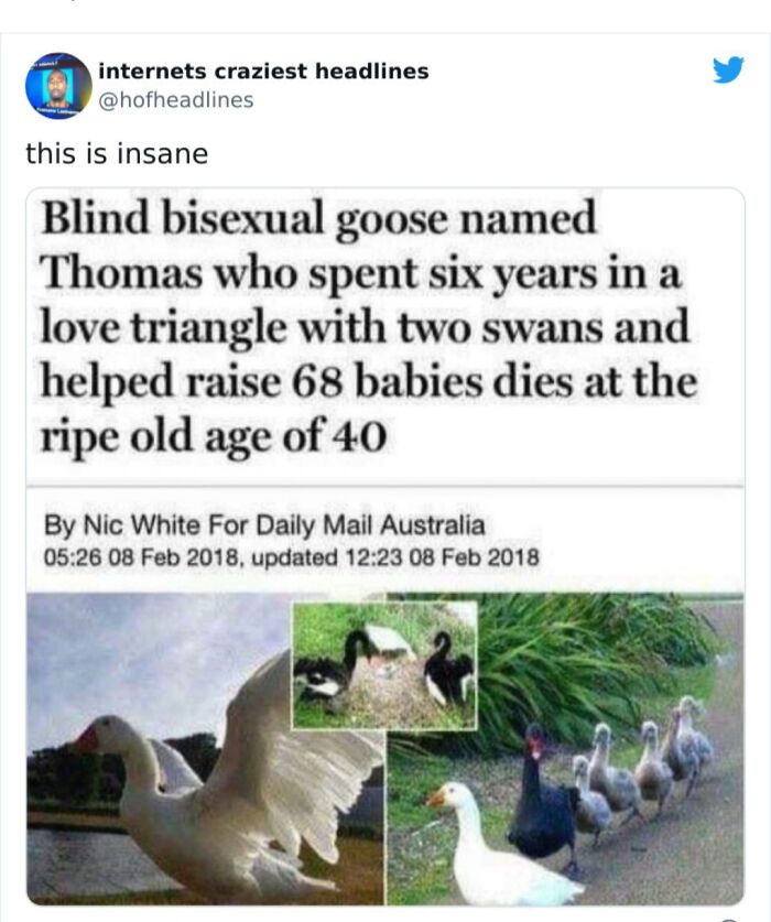 Hey Pandas, Send The Weirdest Things You Have Screenshots Of (Closed)