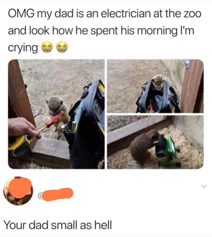 Hey Pandas, Send The Weirdest Things You Have Screenshots Of (Closed)