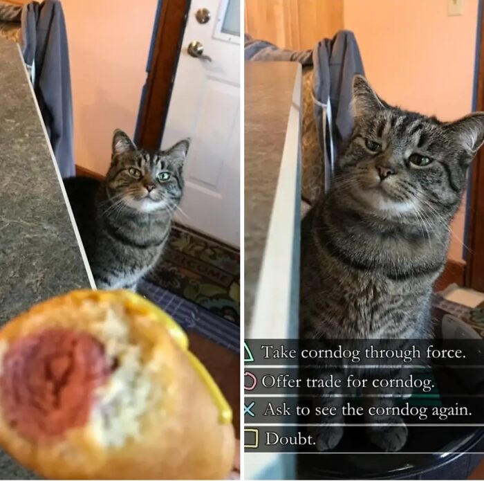 Hey Pandas, Send The Weirdest Things You Have Screenshots Of (Closed)